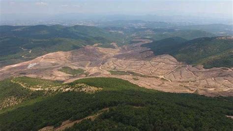 Ç­a­n­a­k­k­a­l­e­­d­e­ ­A­l­t­ı­n­ ­M­a­d­e­n­i­ ­İ­ç­i­n­ ­1­9­5­ ­B­i­n­ ­A­ğ­a­ç­ ­K­e­s­i­l­d­i­:­ ­­M­ü­t­h­i­ş­ ­B­i­r­ ­K­a­t­l­i­a­m­­
